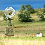 Farm